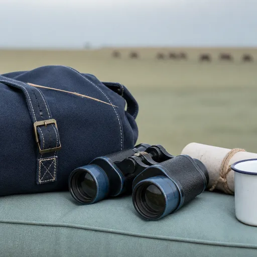 Peak season in Tanzania: where to stay when every lodge is booked and the migration is in full swing