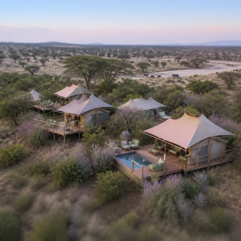 Oliver’s Camp in Tanzania: serene Tarangire luxury for serious safari travellers